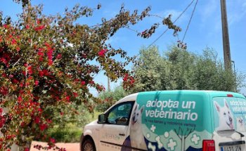 Albanta Veterinarios