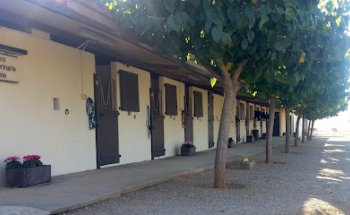 Hospital Veterinario de caballos EGUISOF
