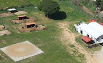 Equihealth Veterinarios S.L