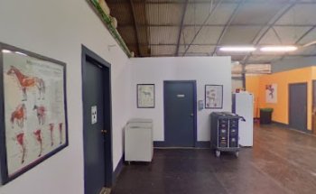 Clínica Veterinaria ARS EQUINA - Pablo Serra de Fortuny