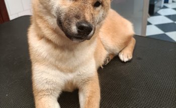 Clínica Carmen Reyes