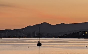 Clínica Veterinaria Palamós S.L.