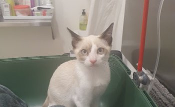 La Ribera Veterinaris