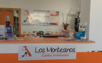 Centro Veterinario Los Montesinos | Fisioterapia y Rehabilitación Animal | Neurología
