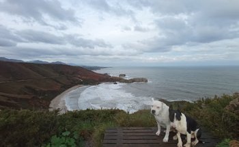 Clínica Veterinaria Kairos