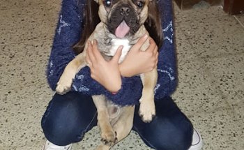 Clínica Veterinària Pou