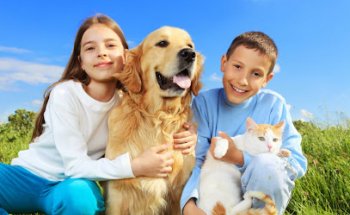 Vets Empordà - Torroella de Montgrí