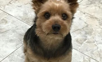 Andrés Burguera Vidal