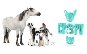 Clínica Veterinaria Puerto Venecia (CVPV)