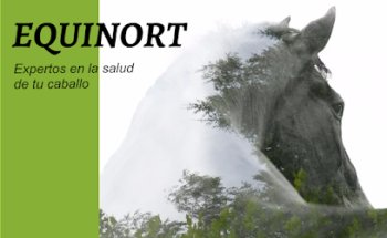 EQUINORT Veterinarios Equinos