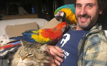 Clínica Veterinaria Peludines