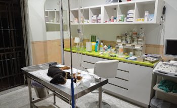 Centro Veterinario Animal doc