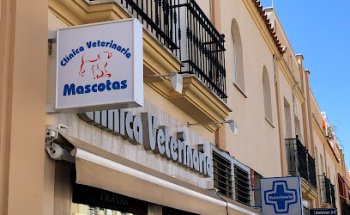 Mascoderm Servicio de Referencia en dermatología canina y felina