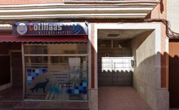 Cotillas Veterinarios