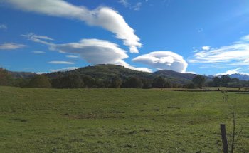 CENTRO VETERINARIO RAMALES