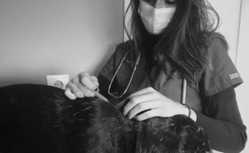 Alma Vet | Consulta Veterinaria - Marina Fortea