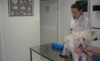 Centro veterinario Doctor Esquerdo