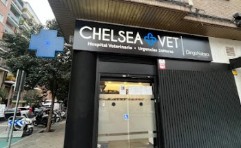 Chelsea & Vet