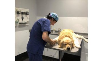 Hospital Los Madroños