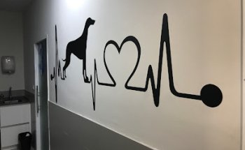 Centro Clínico Veterinario Algodón