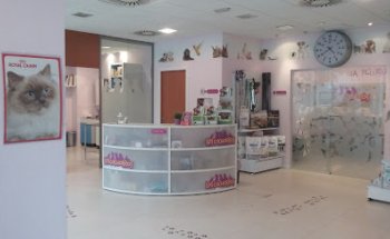 Veterinario Los Cachorros