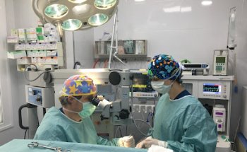 Clínica Veterinaria Romareda - Veterinarios Zaragoza