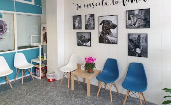 Veterinaria Salud Animal Casablanca