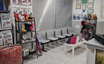 CLINICA VETERINARIA PALACIOS