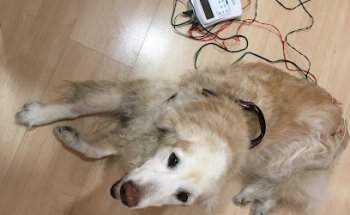 Clínica Veterinaria Fuentelarreina