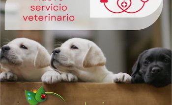 Clínica veterinaria en Guadalajara | OCAÑA