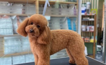 Centro Veterinario Mukay Vallecas