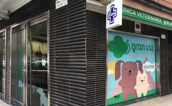 Clínica Veterinaria Gran Vía