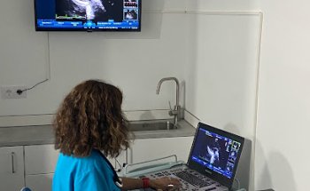 Espai Sonovet, ecografia i cardiologia veterinària