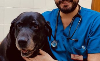 Sanz Veterinaris