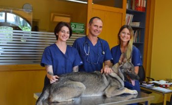 Consultori Veterinari Jordi Sabater
