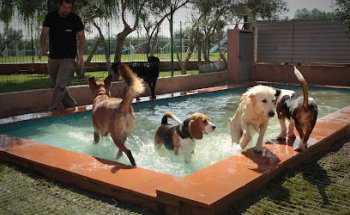 Mascotes Costa Brava