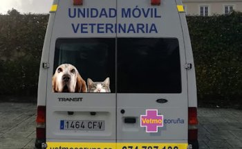 Vetmo-Veterinario a Domicilio