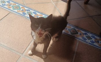 Centro veterinario Las Bayas