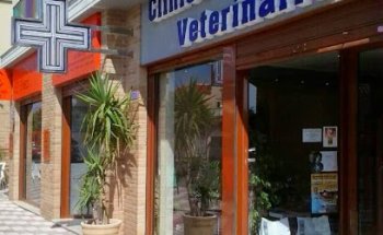 Clínica Veterinaria DRL San Fulgencio