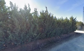 CLINICA VETERINARIA SAN ANTONIO GRANDES ANIMALES