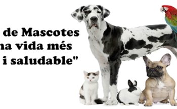 Paradís Mascotas