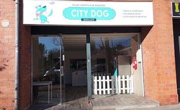 City Dog Mollet