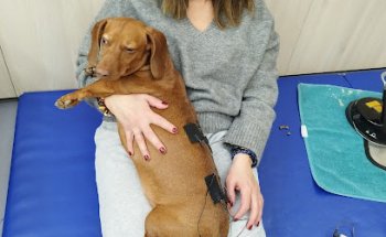 CRAR Centre de Rehabilitació Animal de Referència