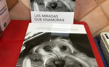 Monter Algueró Alicia