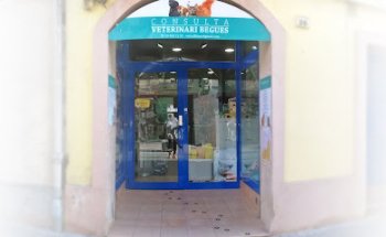 Veterinari Begues