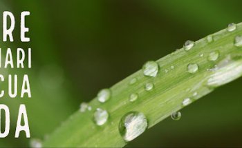 Centre Veterinari Cap i Cua Gelida