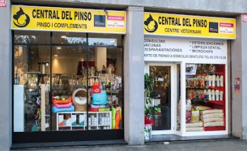 CENTRAL DEL PINSO