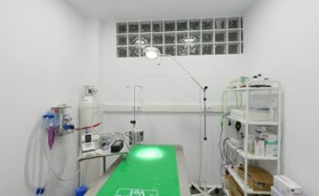 Fost Veterinaris