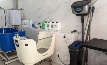 Centre veterinari DOG VINT-I-DOS Granollers – Perruqueria canina i botiga de mascotes.