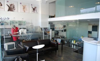 Servicios Veterinarios IAS